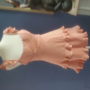 NWT  Saints and secrets blush dress